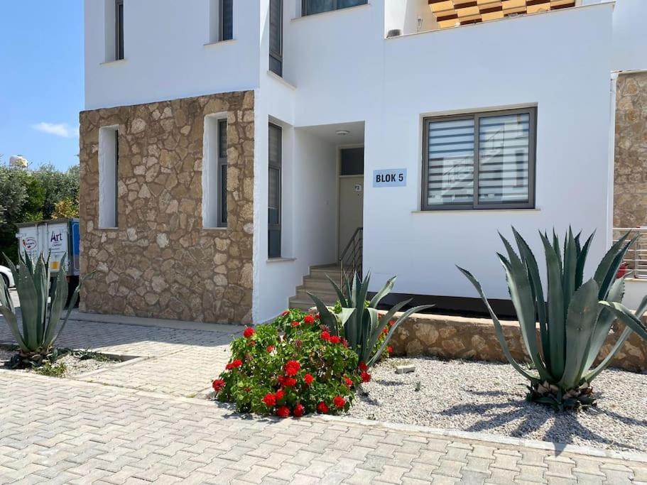 Girne/Zeytinlik 2+1 Muhtesem Terasli Daire Ngoại thất bức ảnh